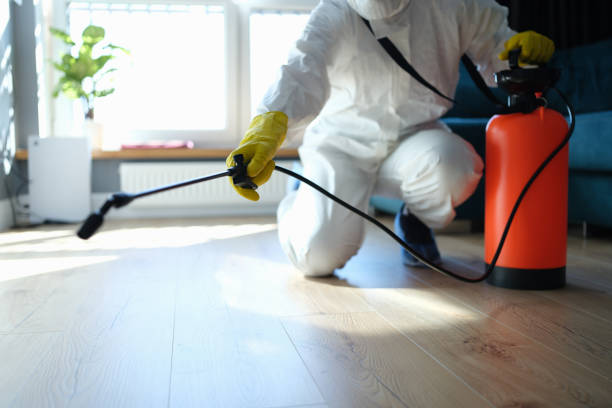 Reliable Infectious Disease Decontamination contractor in Lake Elsinore, CA by Trauma Clean Pros